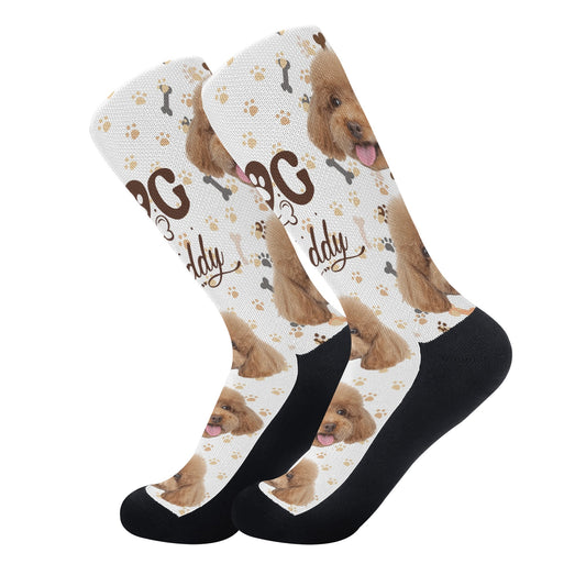 filename-1742806554-1-ooVGvhHqeY