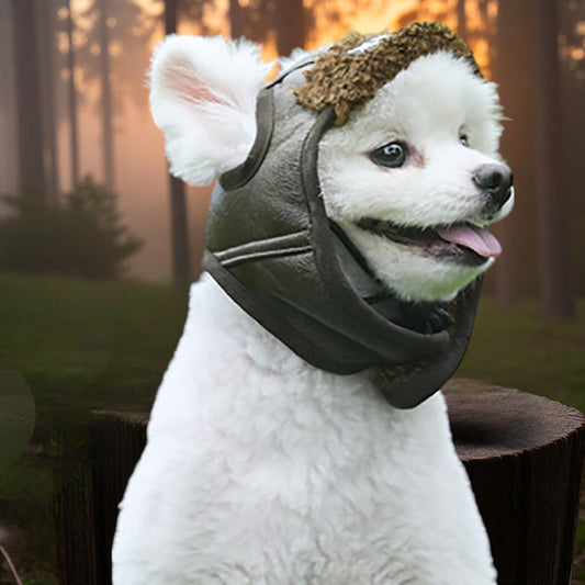 LENTÄJÄN LAKKI PRÄTKÄPISKILLE – EIHÄN SE VOI ILMAN KYPÄRÄÄ AJAA