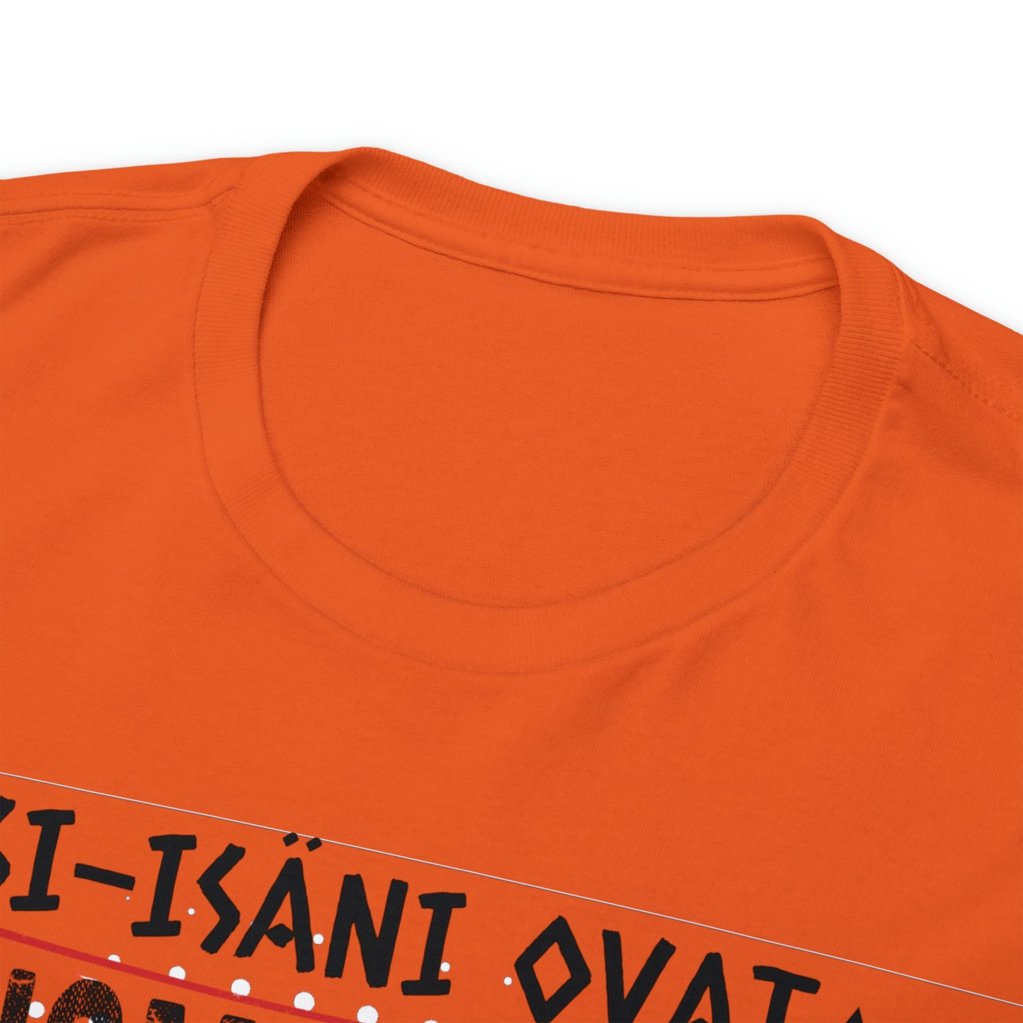 Unisex paksu puuvillainen t-paita - esi-isäni ovat suomalaisia