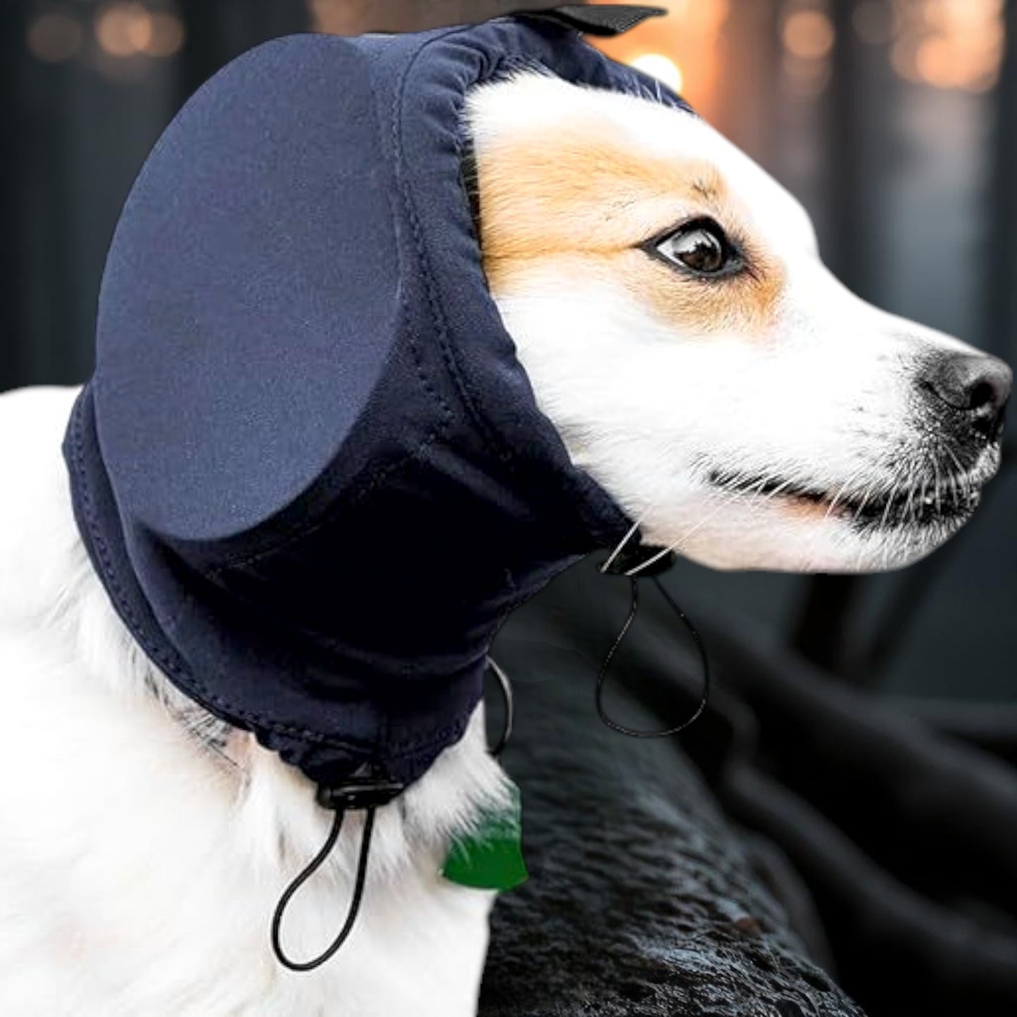 KOIRALLES KORVASUOJA RÄJÄHDYKSII JA PÄRINÄÄ VARTEN