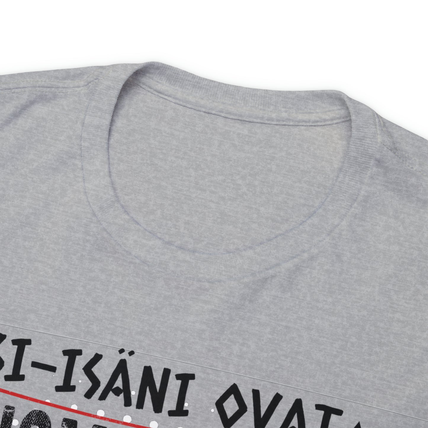 Unisex paksu puuvillainen t-paita - esi-isäni ovat suomalaisia