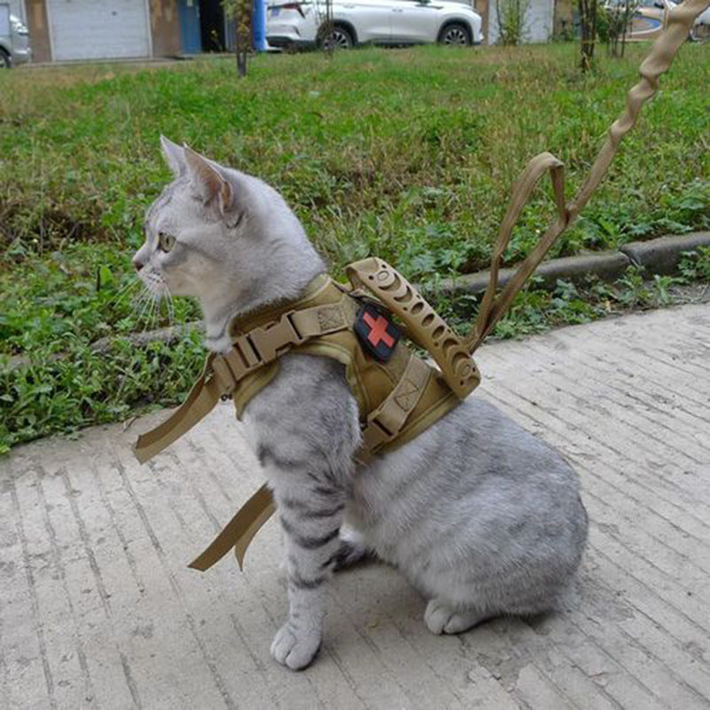 Tactical Cat Harness ja pieni koira, säädettävä valjas ja talutin