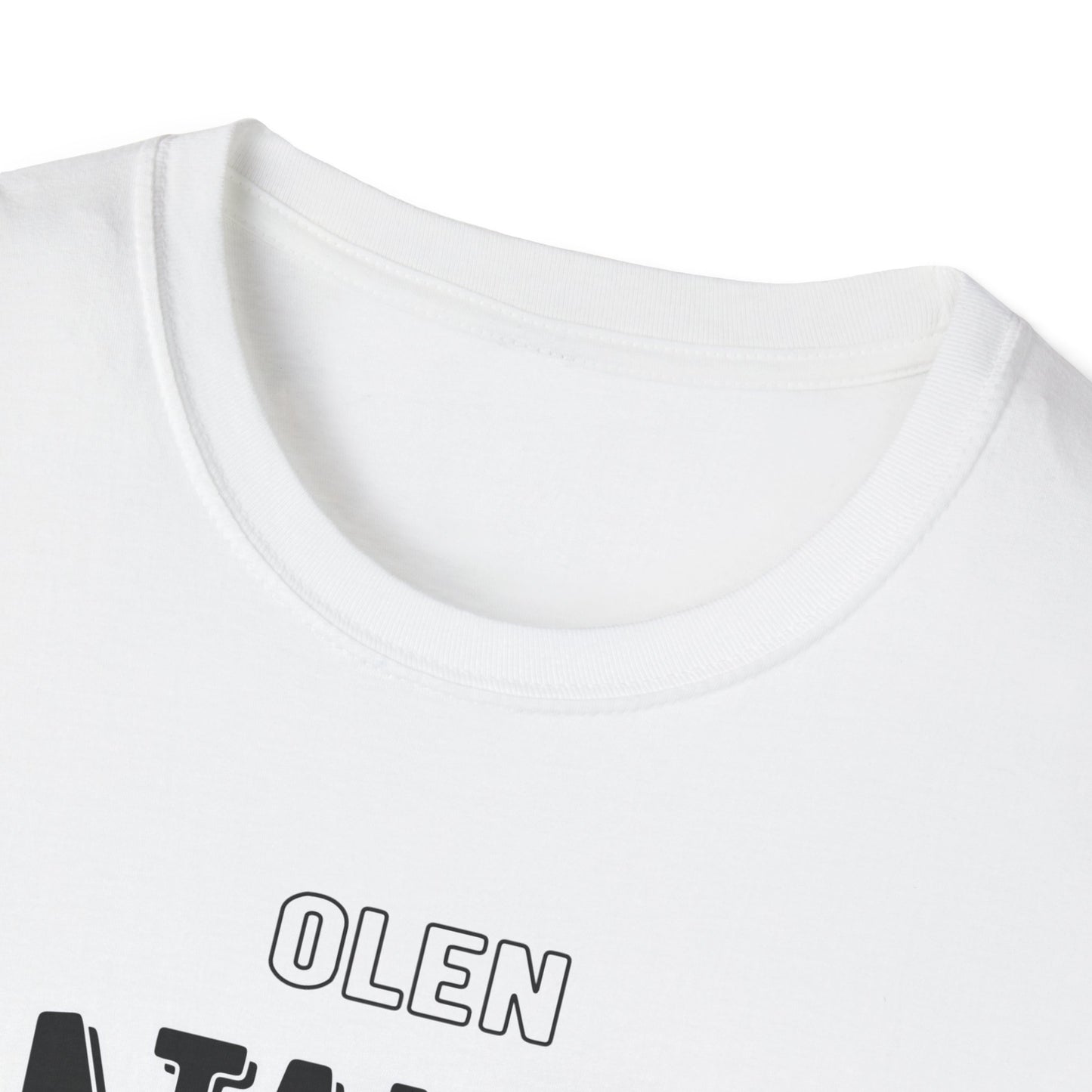 T-Paita - en pysty korjaamaan typeryyttä - datanomi