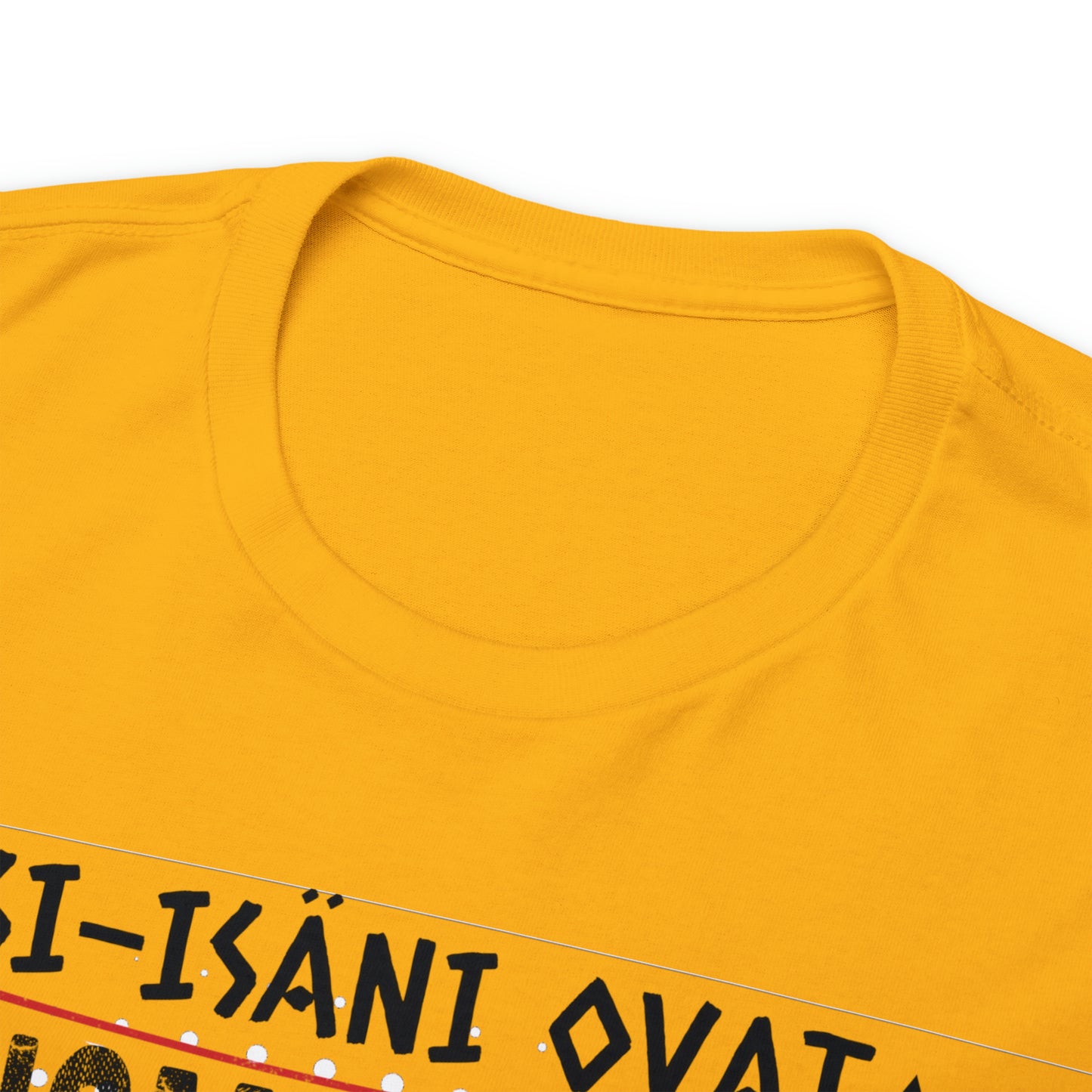 Unisex paksu puuvillainen t-paita - esi-isäni ovat suomalaisia