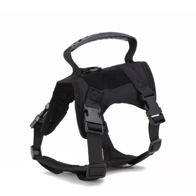 Tactical Cat Harness ja pieni koira, säädettävä valjas ja talutin