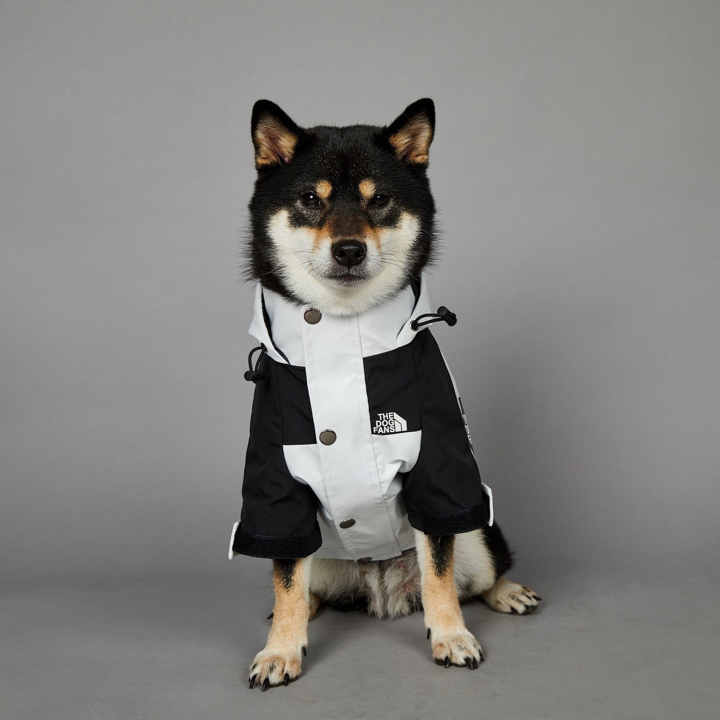 KOIRALLES kunnon TAKKI PRÄTKÄREISSULLE the dog fans valkoinen