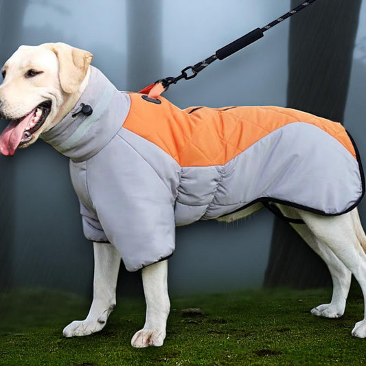 KOIRAN  TALVITAKKI PITÄÄ SUN ystävän  LÄMPIMÄNÄ PRÄTKÄREISSULLA