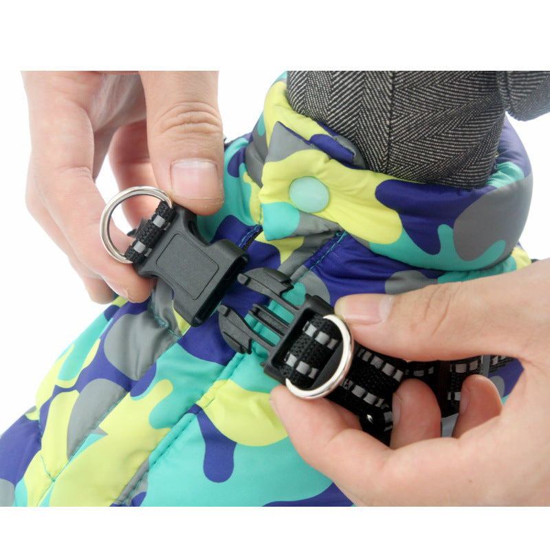 lämmin takki koralle + valjaat