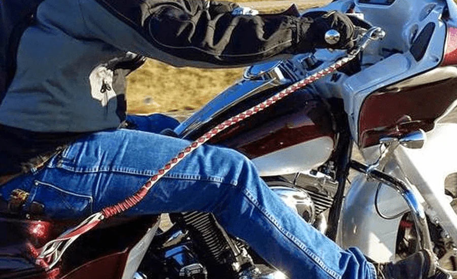 Bikerin Get Back Whip
