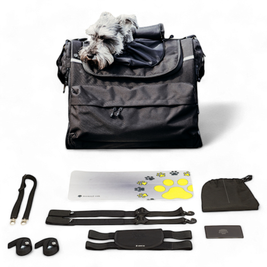 Lemmikkilaukku PET CARRIER M 8-11KG PANORAMIC