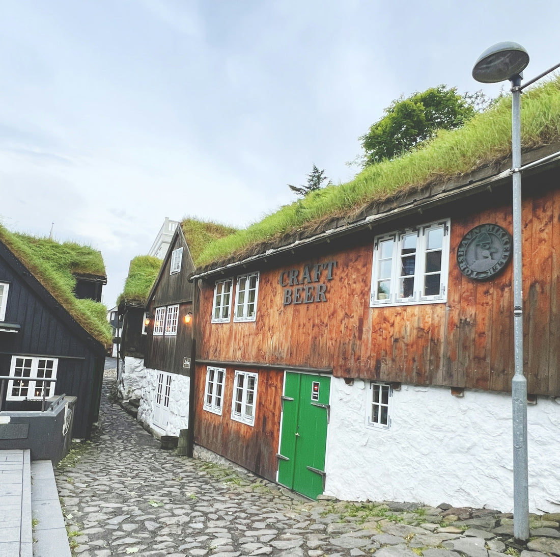 Quaint, traditional houses with grass-covered roofs are pictured.