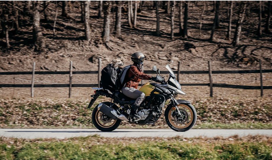 deemeed lemmikkilaukut