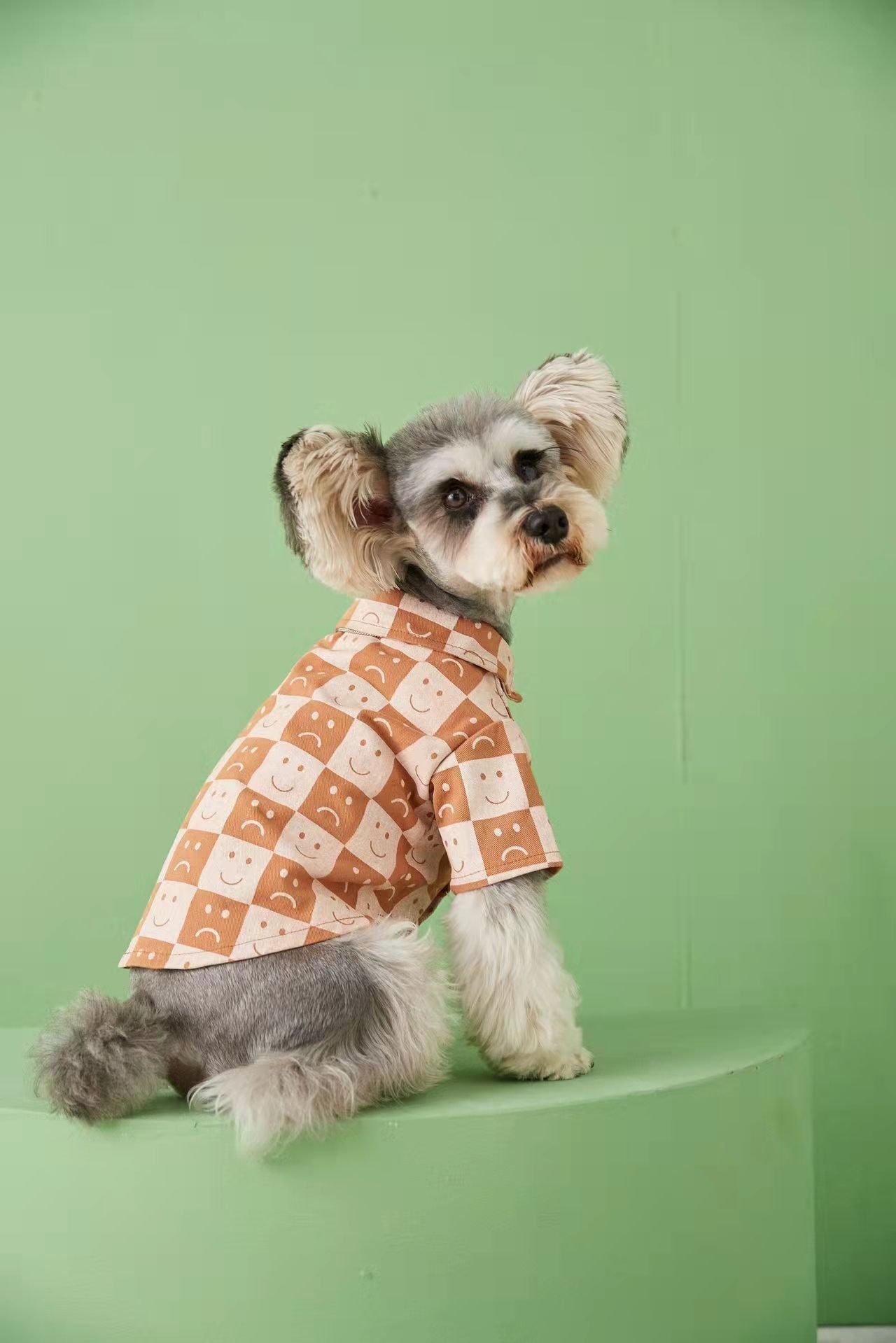 Pet Fadou Checked Denim Shirt