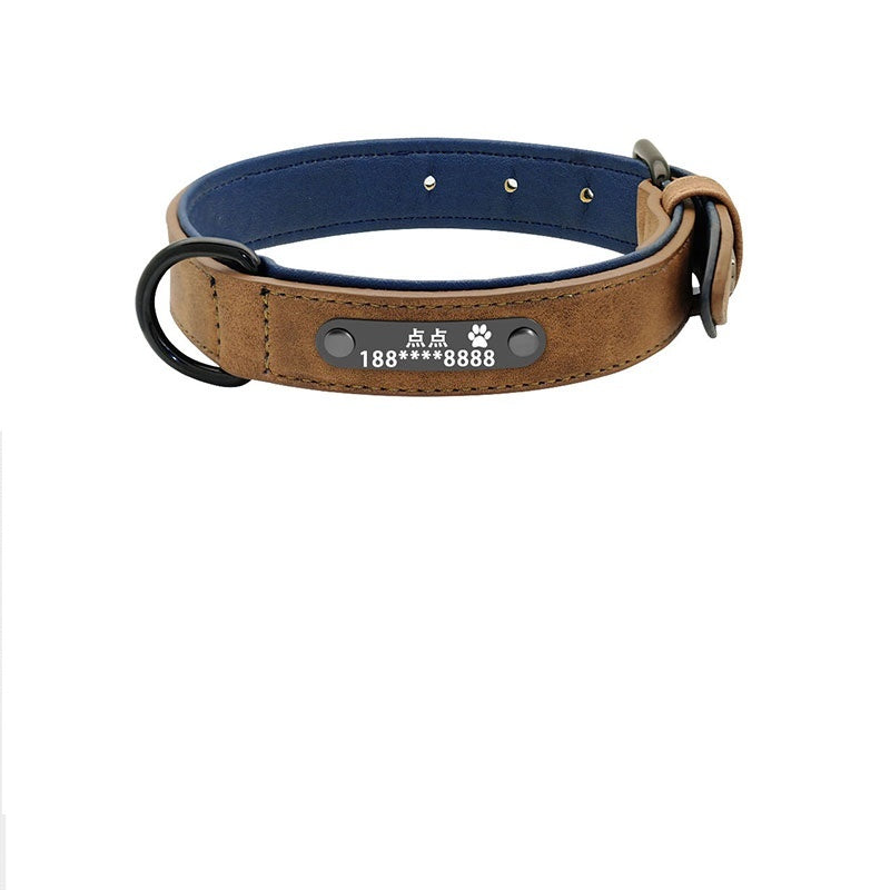 dog collar - personalize with style