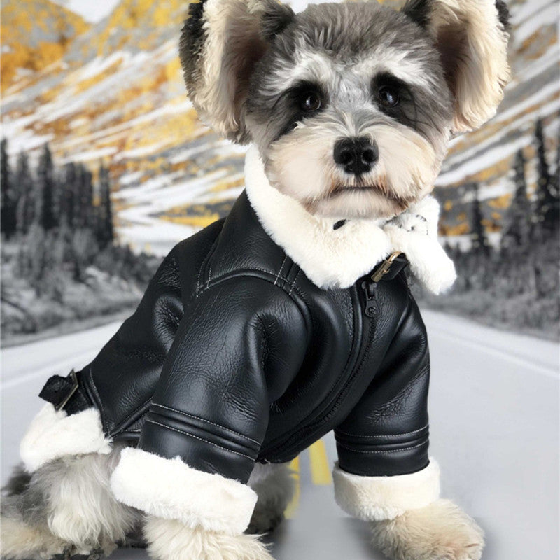 Biker Dog Winter Jacket