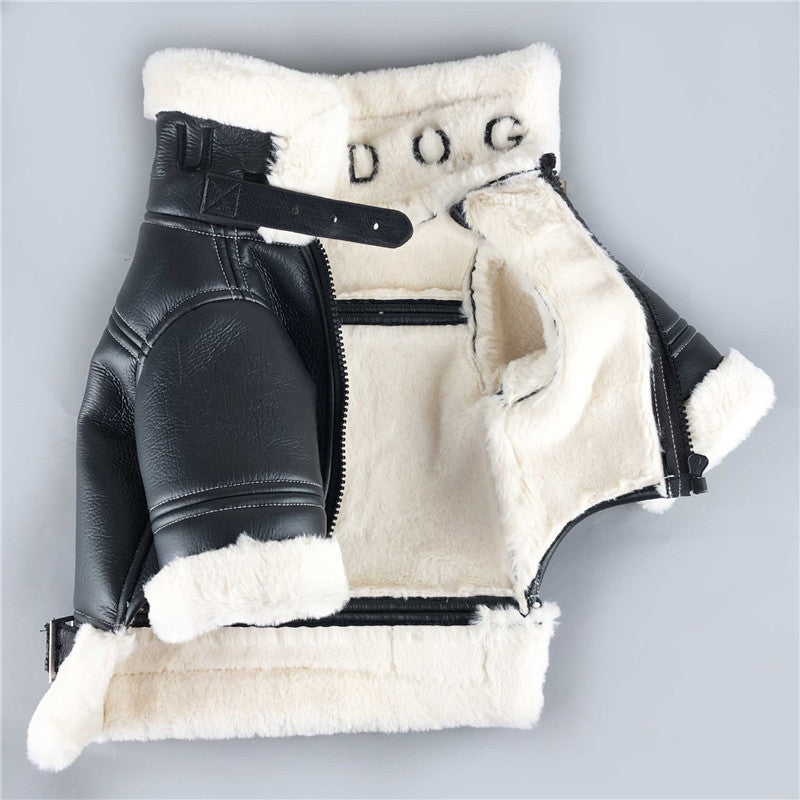 Biker Dog Winter Jacket