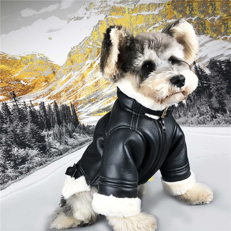 Biker Dog Winter Jacket