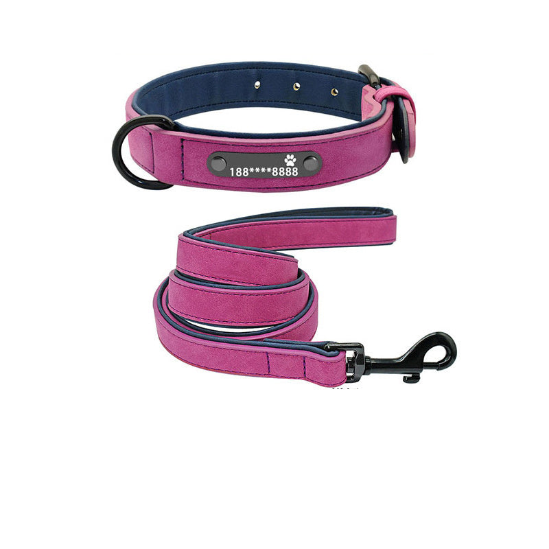 dog collar - personalize with style