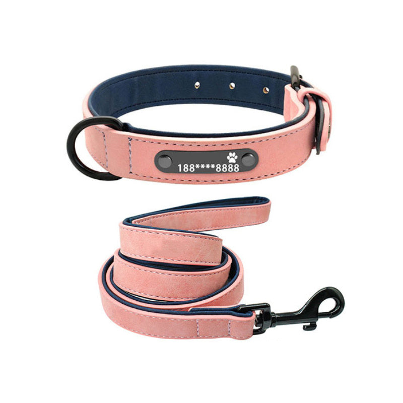 dog collar - personalize with style