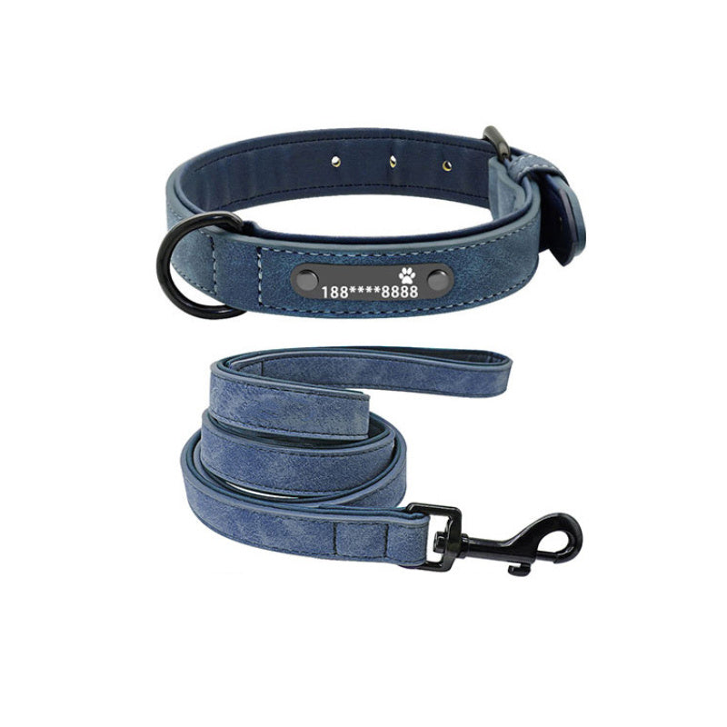 dog collar - personalize with style