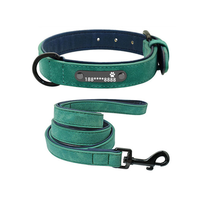 dog collar - personalize with style