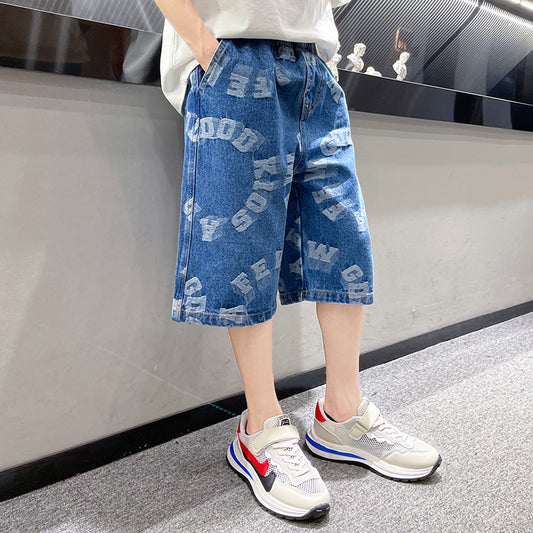 Summer Thin Korean Denim Shorts