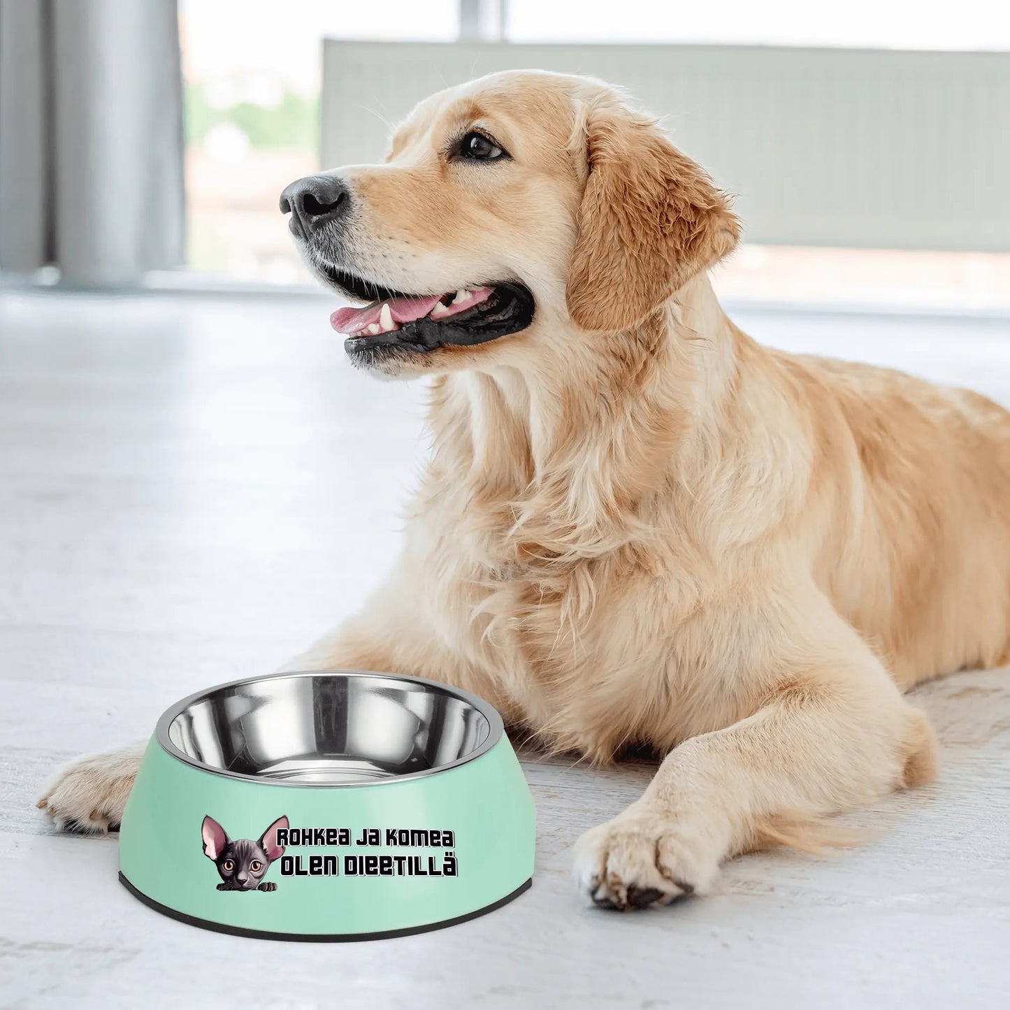 Stainless Steel Bowl for Pets