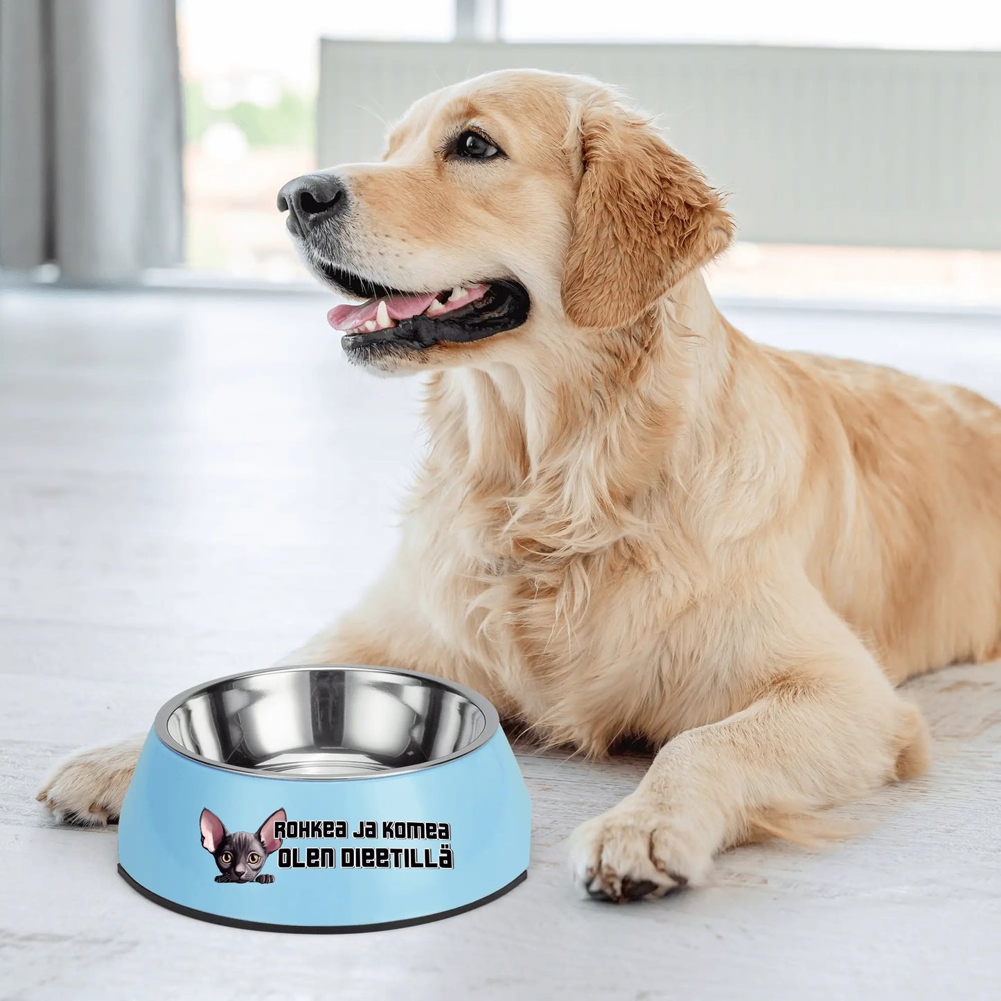 Stainless Steel Bowl for Pets