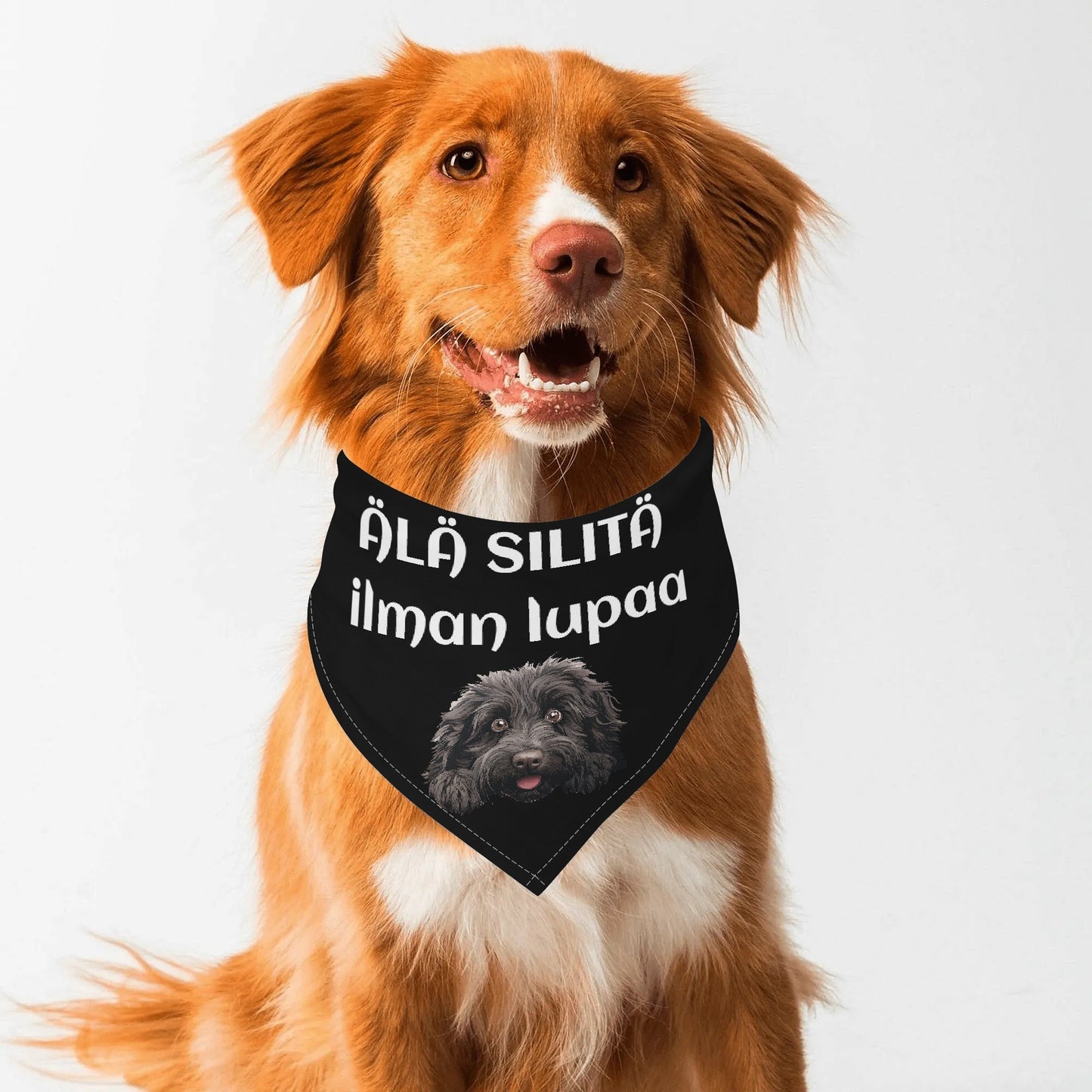 filename-1757507932-1-xmW9Duety9