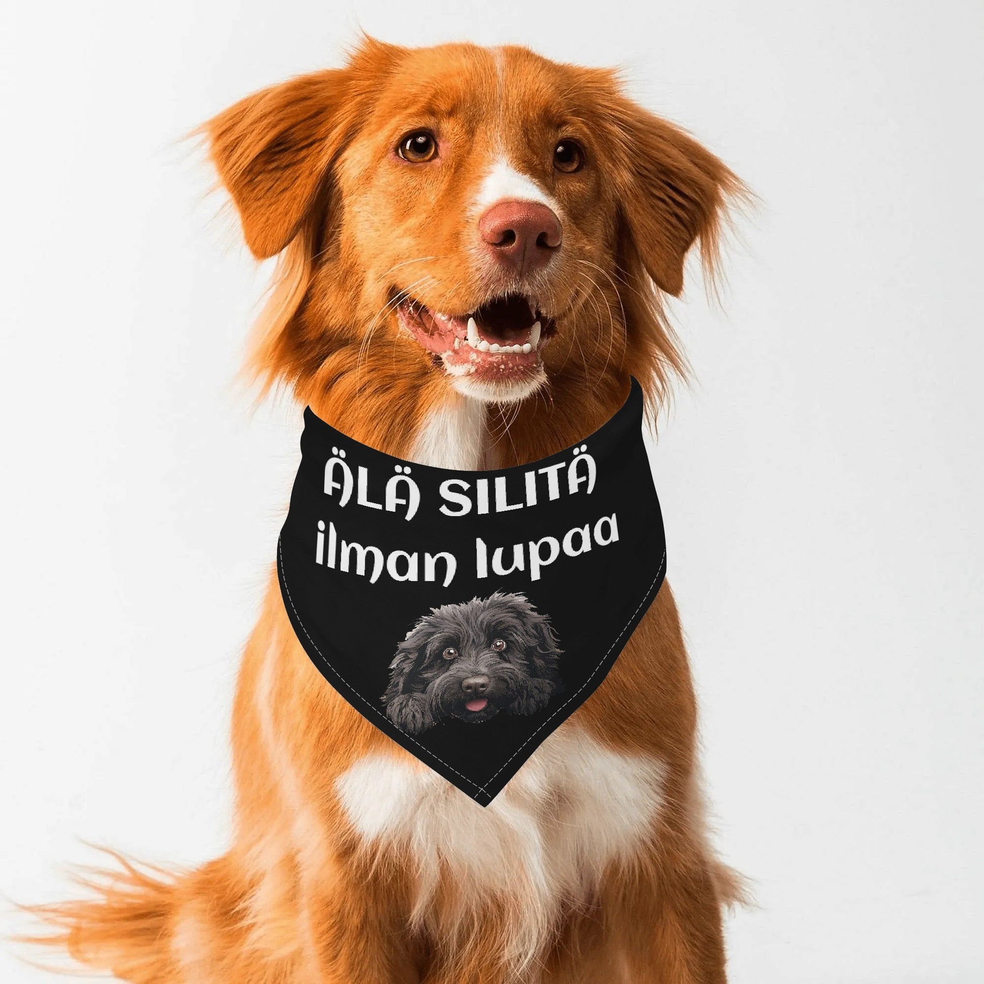 filename-1757507932-1-xmW9Duety9