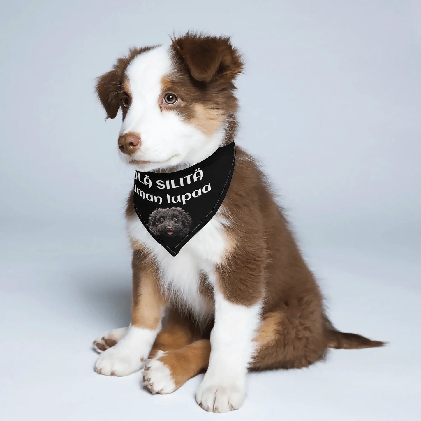 filename-1757507932-3-xmW9Duety9