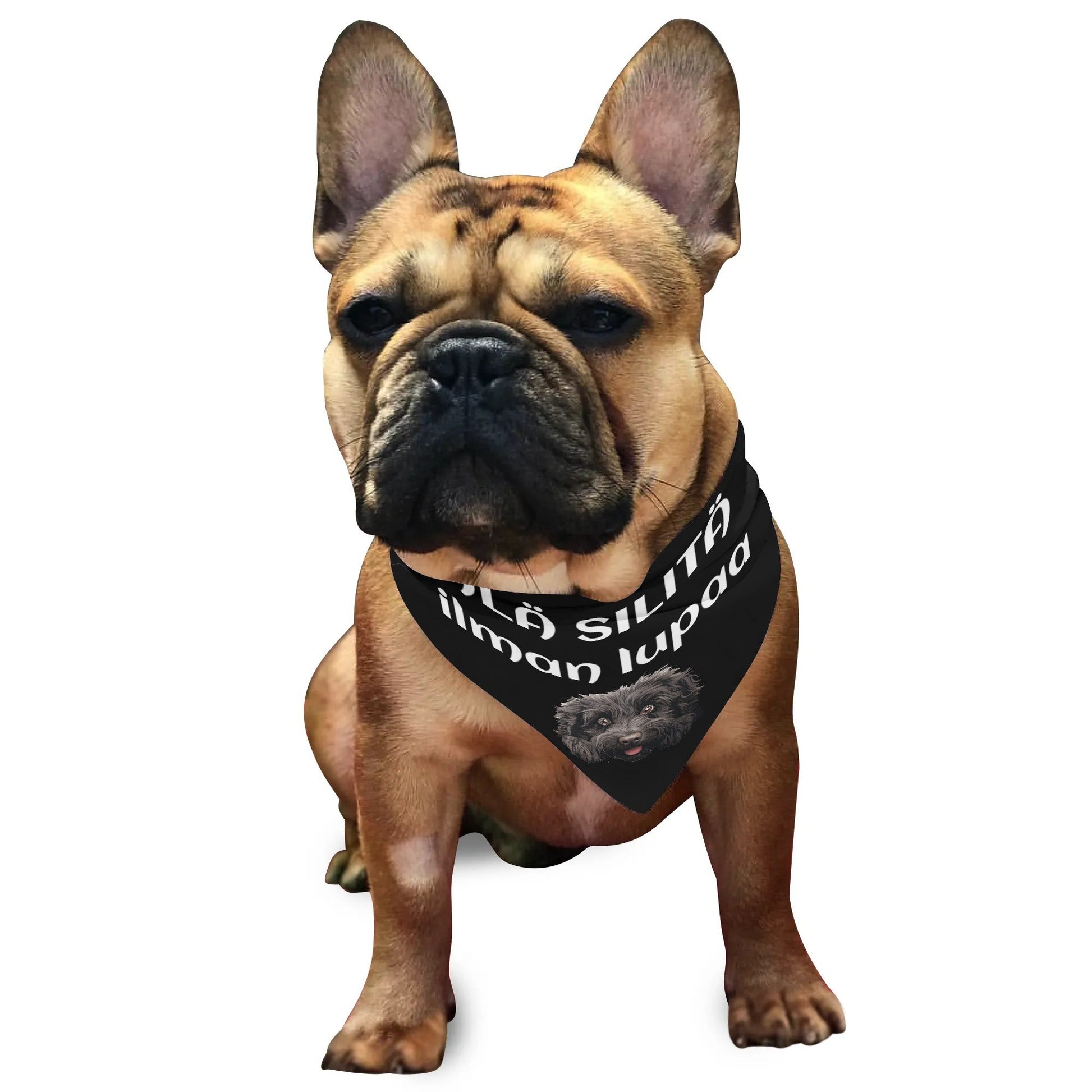 filename-1757507932-4-xmW9Duety9