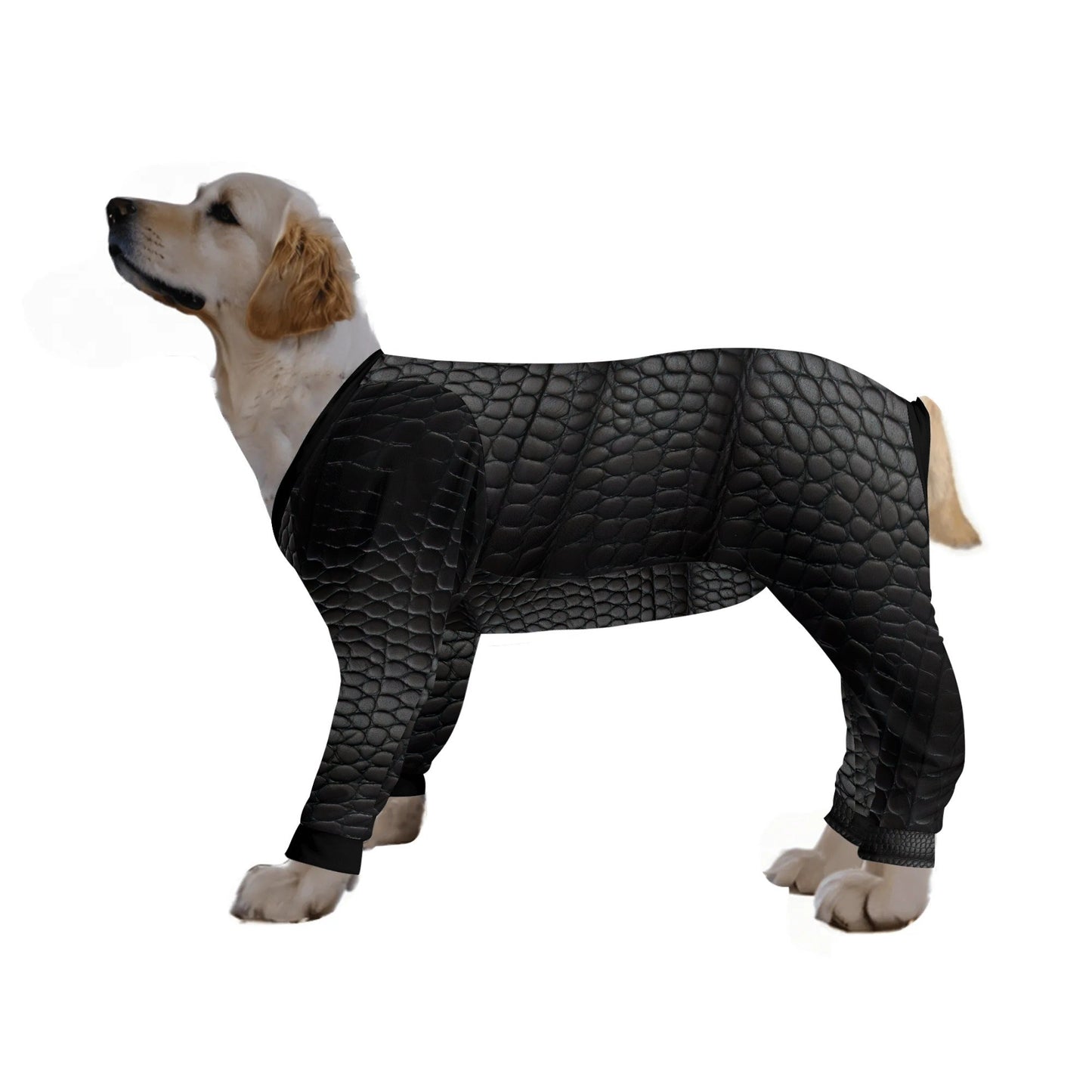 filename-1757512482-2-4ztaOpV1xT