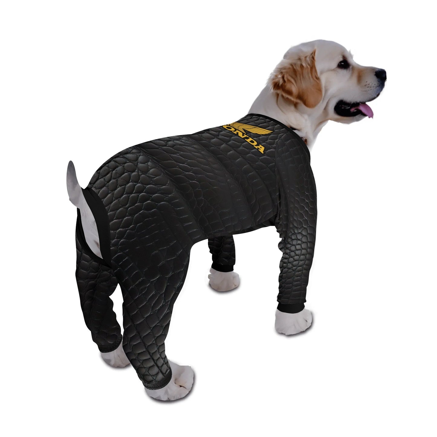 filename-1757512527-1-kFHGBqRku3