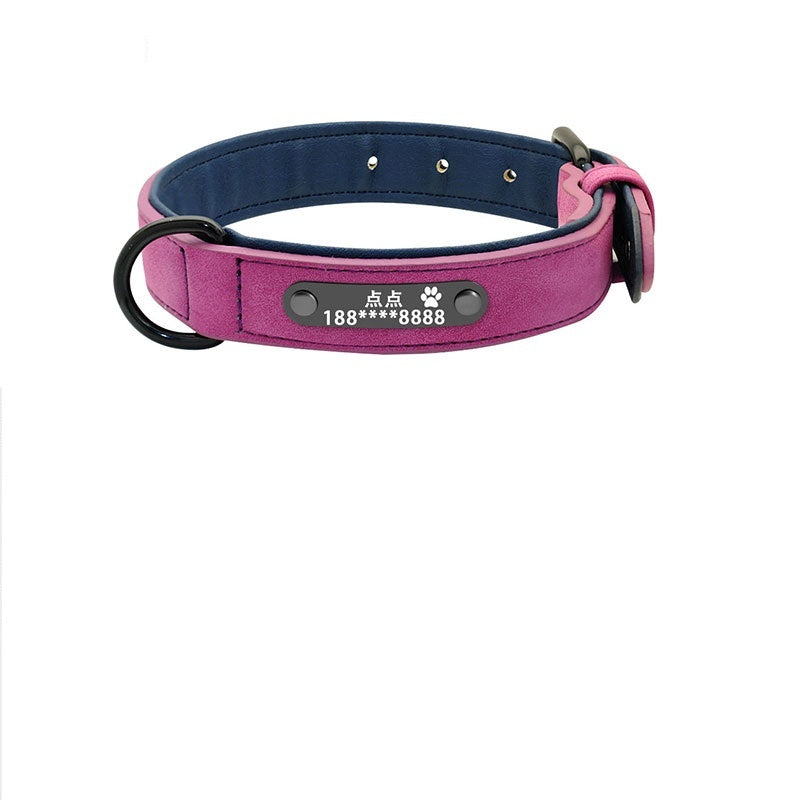 dog collar - personalize with style