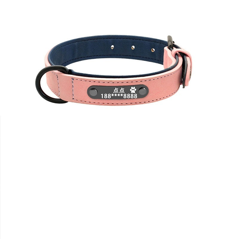 dog collar - personalize with style