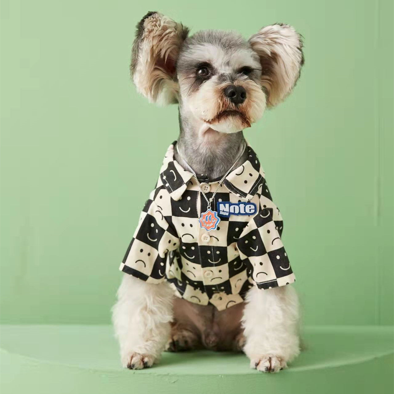 Pet Fadou Checked Denim Shirt