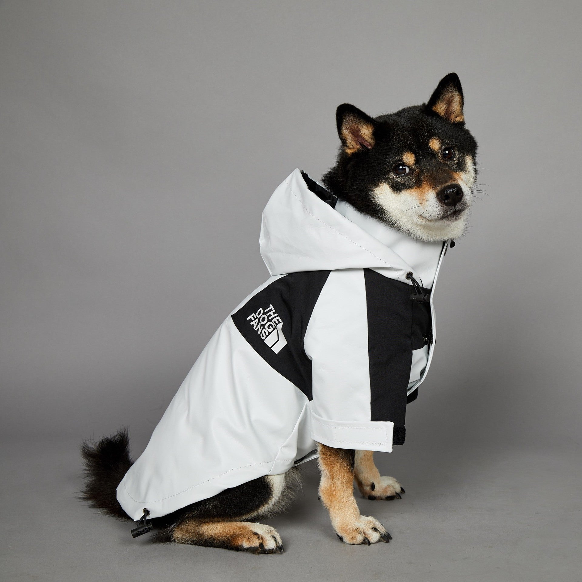 KOIRALLES kunnon TAKKI PRÄTKÄREISSULLE the dog fans valkoinen sivusta