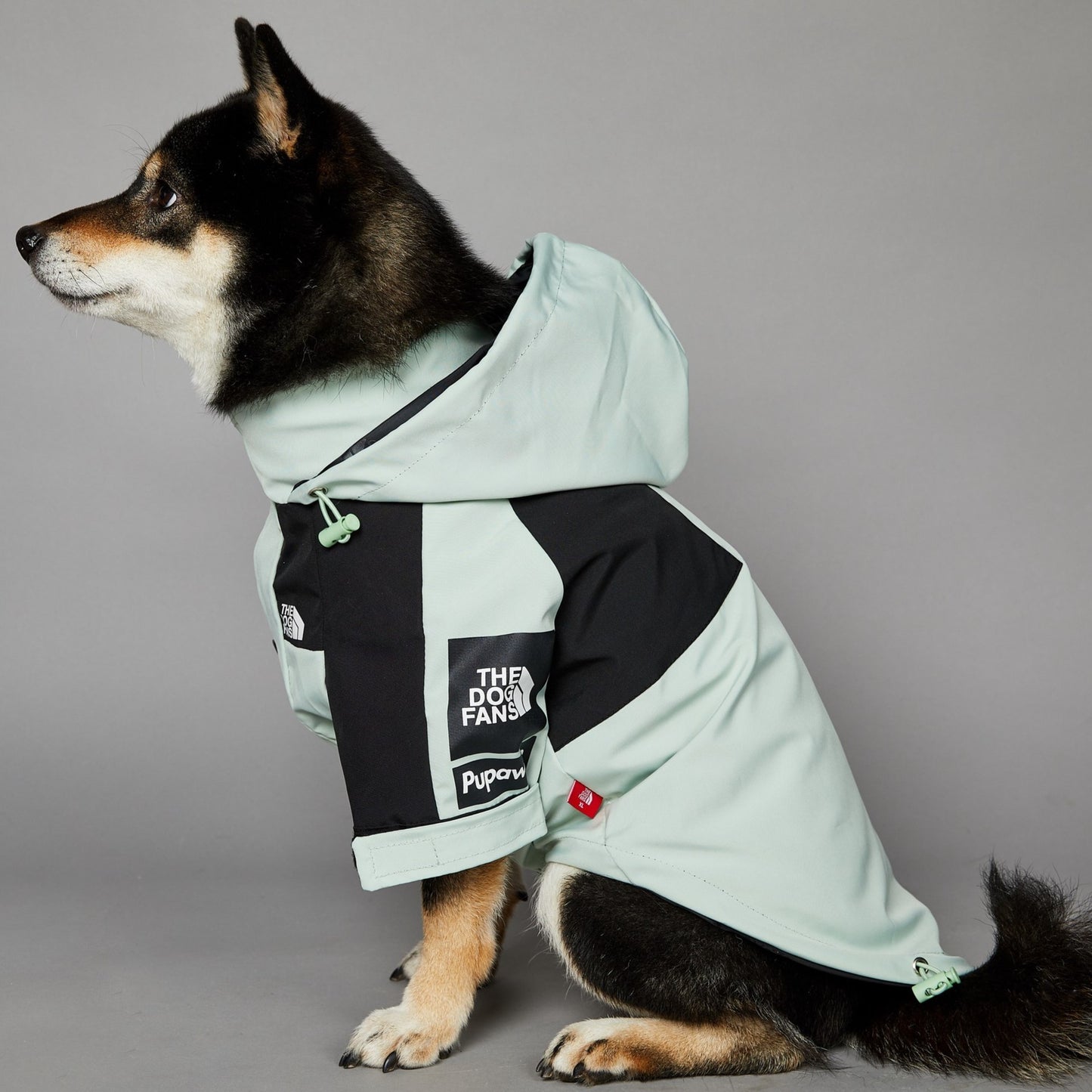 KOIRALLES kunnon TAKKI PRÄTKÄREISSULLE the dog fans
