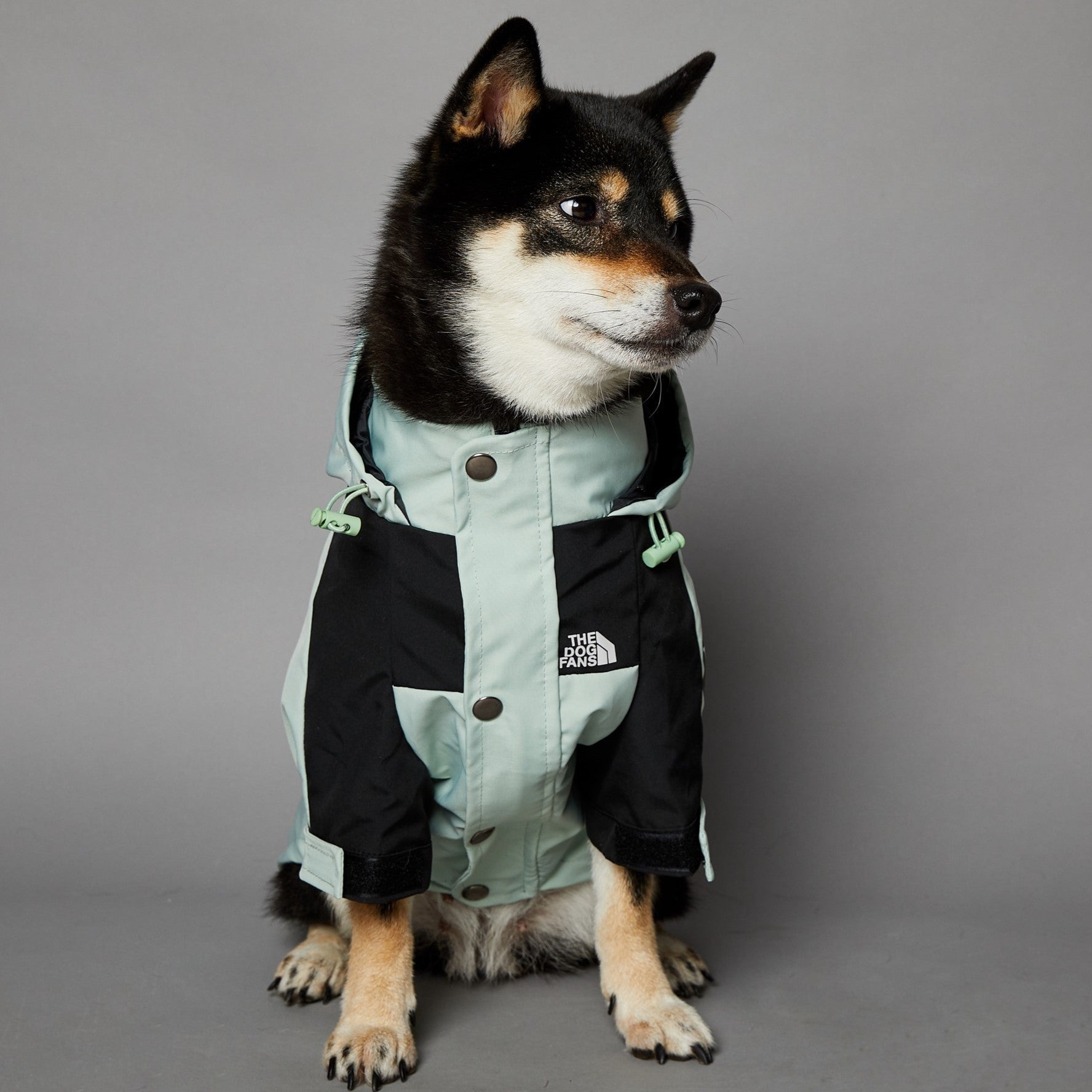 KOIRALLES kunnon TAKKI PRÄTKÄREISSULLE the dog fans turkoosi