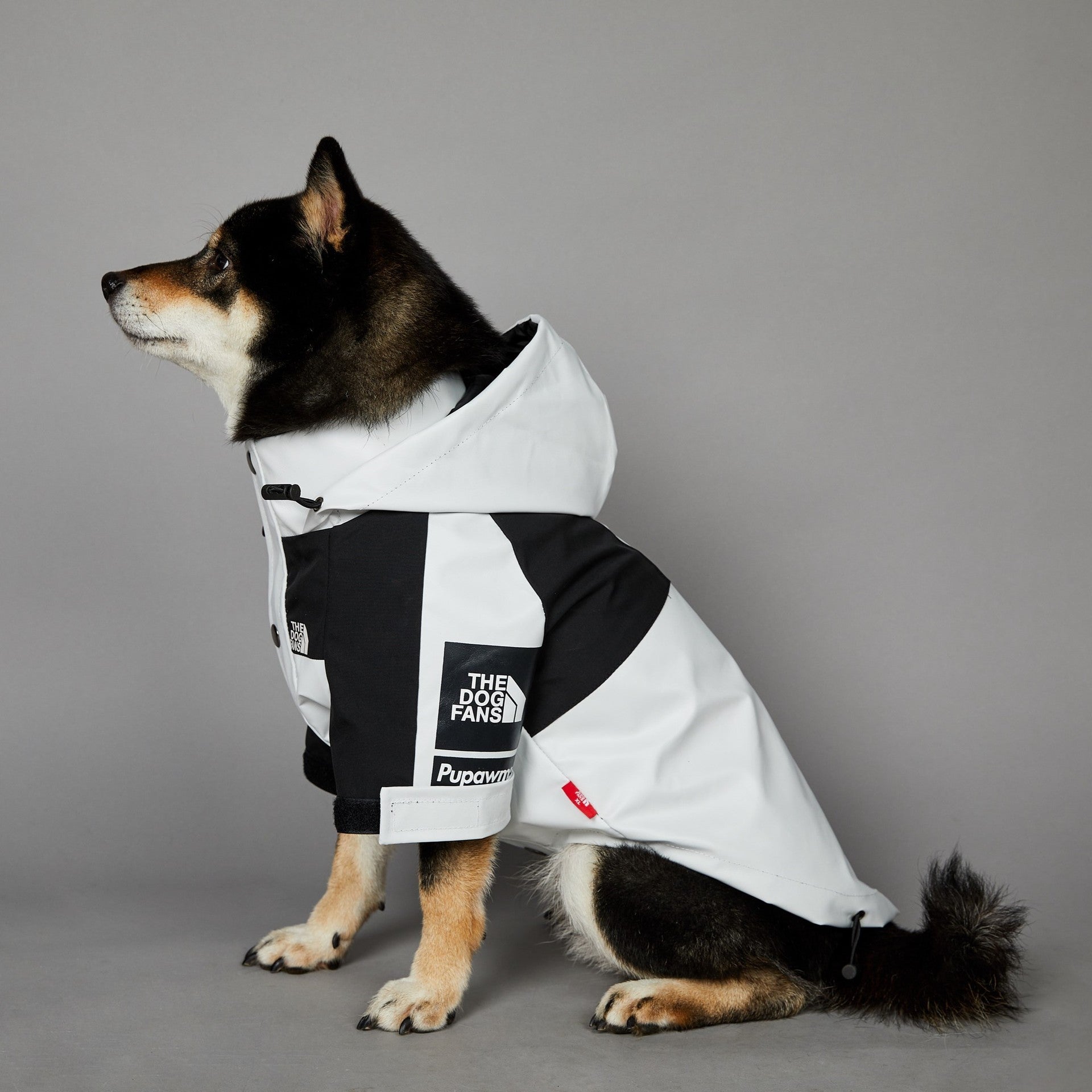 KOIRALLES kunnon TAKKI PRÄTKÄREISSULLE the dog fans valkoinen