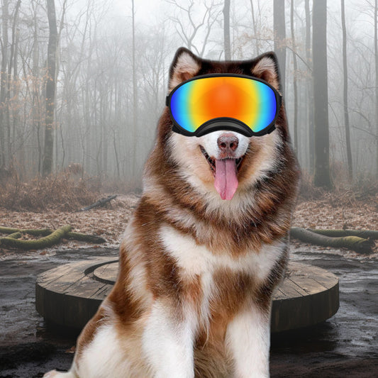 Ski Pet Dog Wind Protection Goggles karvaturille