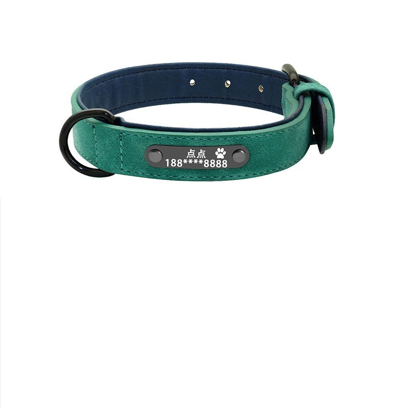 dog collar - personalize with style