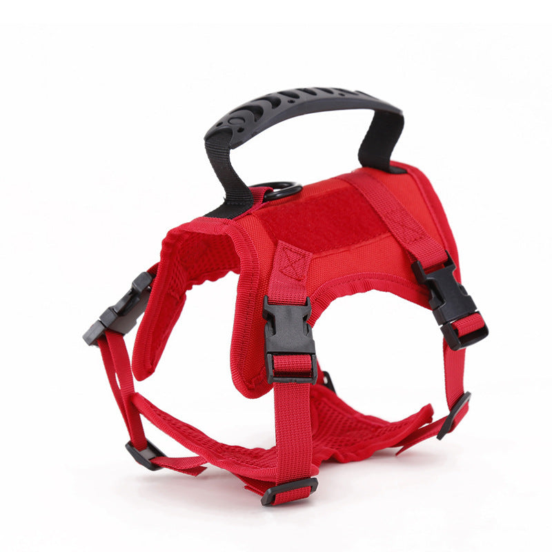 Tactical Cat Harness ja pieni koira, säädettävä valjas ja talutin