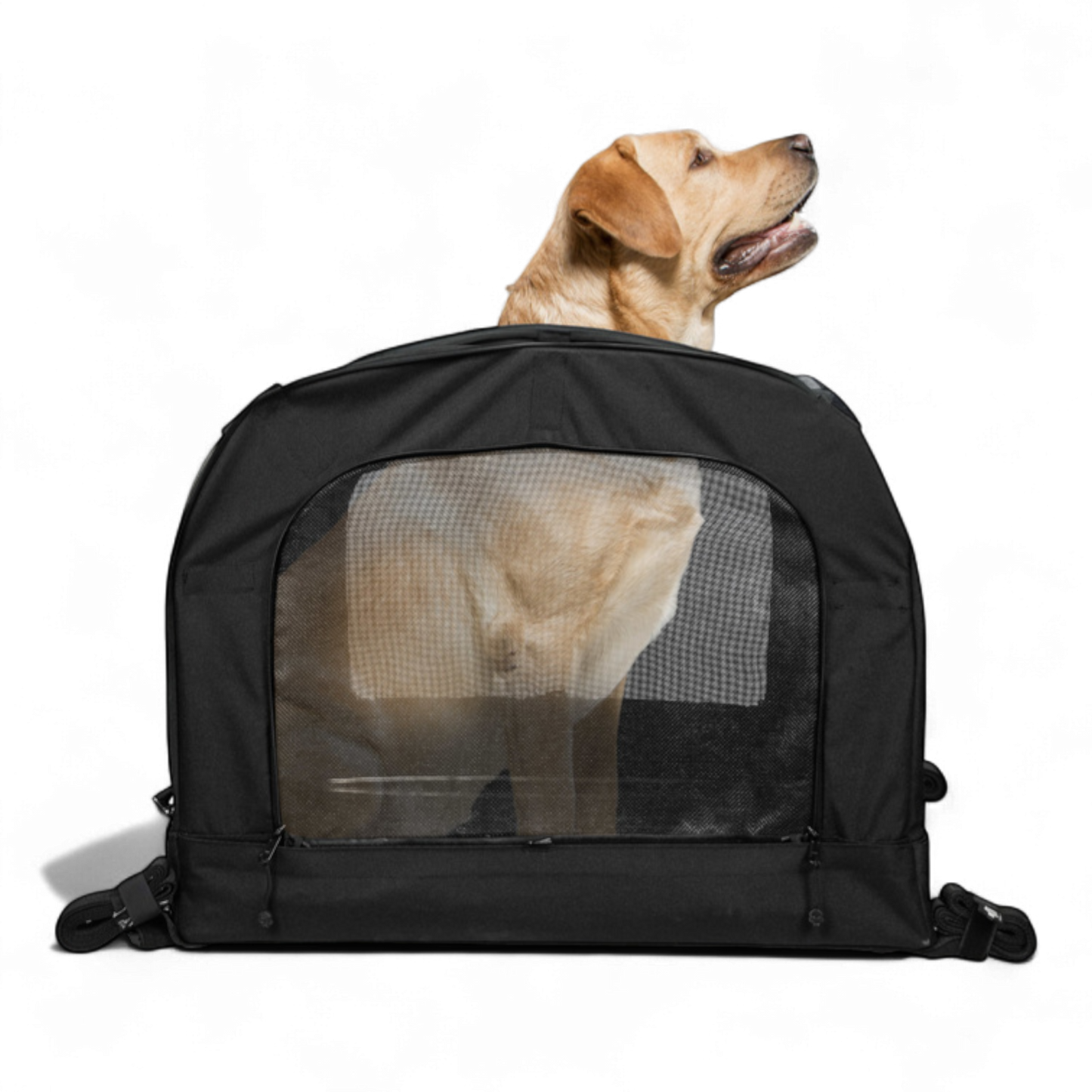 Lemmikkilaukku PET CARRIER XL